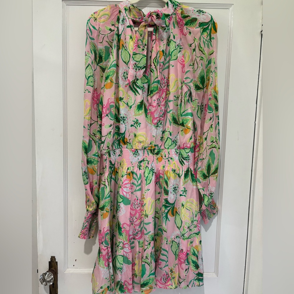 NWT Lilly Pulitzer Ellielynn Long Sleeve Dress - Picture 4 of 15